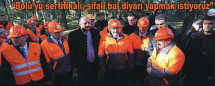 Kylye orman kurulacak