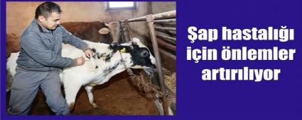 Alama kampanyas erkene alnd