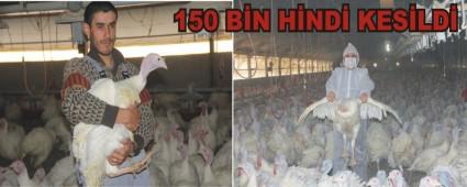BOLU'DA YILBAI N 150 BN HND KESLD