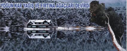 GLCK TABAT PARKI'NA GR YASAKLANDI