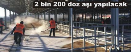 Yeniaa'da Nepal Tip ap alamas balad