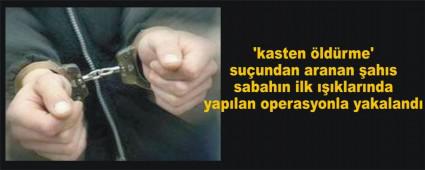 DZCE'DE ARANAN AHIS BOLU'DA YAKALANDI