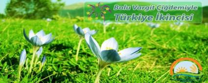 Bolu Vargit idemiyle Trkiye kincisi