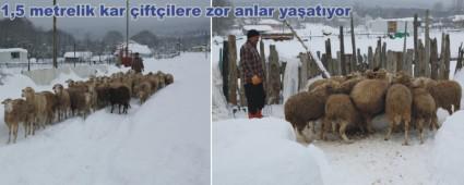 Kkbalar da kar maduru