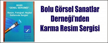 BGSD Resim, Fotoraf, Heykel Dallarndaki Sergisi Alyor