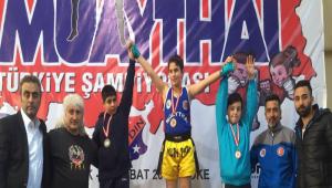 Bolu Muay Thai Trkiye 3.s