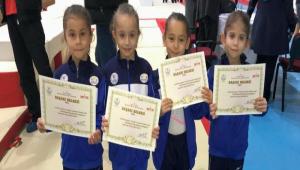 Samsun'a Bolu Damgas