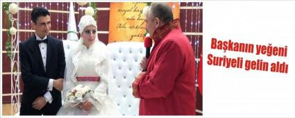 Suriyeli gelin, Bolulu damat