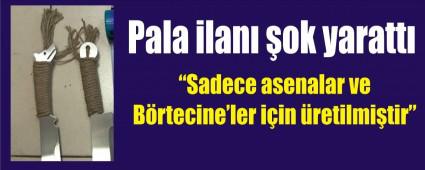 nternette ok yaratan PALA ilan!