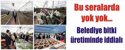 BELEDYE BTK RETMNDE DE DDALI