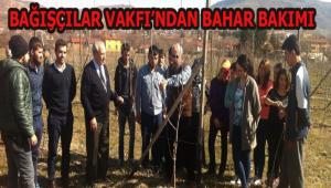 ELMA  BAHESNDE BAHAR BAKIMI