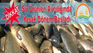 Yasak dnem balad