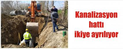 Basknlar tarihe karyor