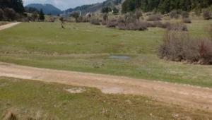 Abant'ta mera alanna futbol sahas