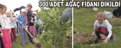 FDANLAR TOPRAKLA BULUTU