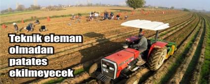 NNE GELEN PATATES EKEMEYECEK!