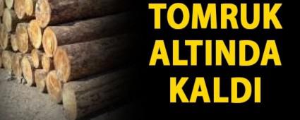 TOMRUKLARIN ALTINDA KALAN  YARALANDI