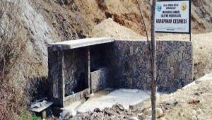 Ormanclar eme yaptrd