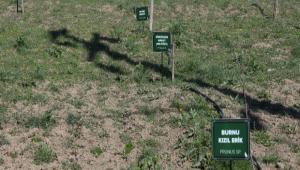 Artk unutulmayacaklar