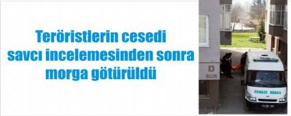 len PKK'llar morga gtrld