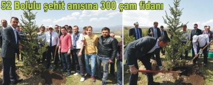 52 Bolulu ehit ansna 300 am fidan