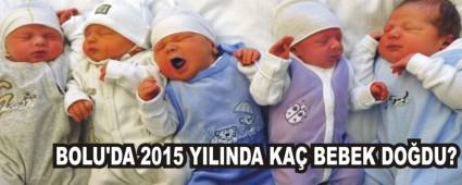 BOLU'DA 2015 YILINDA KA BEBEK DODU?