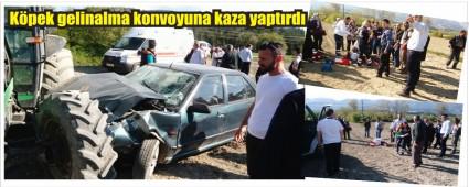 Dn konvoyunda kpek kazas