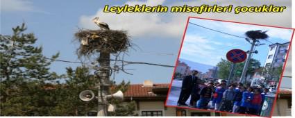 LEYLEK YUVALARINI ZYARET ETTLER