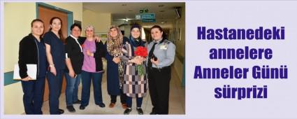 Salk alanlarndan annelere karanfil