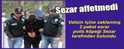 Sezar valizdeki esrar yakalad