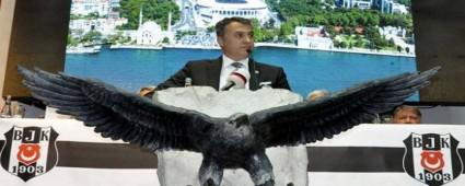 Gerede Tesisi'nin ad:Beikta Da