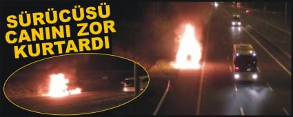 BOLU DAI'NDA TIR ALEV ALEV YANDI