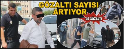 Bolu'da byk operasyon