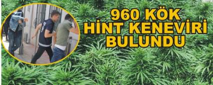 LEN DEDESNE AT EVN BAHESNE HNT KENEVR EKT