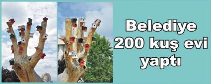 Kular iin barnak yapld