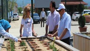 Park ve Bahelerde inceleme