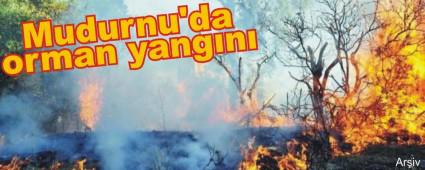 Mudurnu'da orman yangn