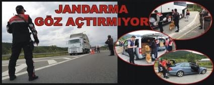 Bolu'da asayi denetimi