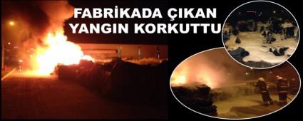 ORGANZE SANAY BLGESNDE YANGIN PAN