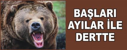  BALARI AYILAR LE DERTTE