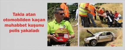 Kazada kaan kuu polis yakalad