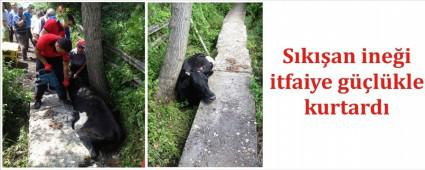 ukura saplanan inei tfaiye kard