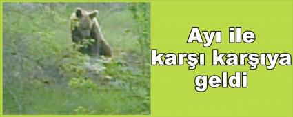 Ay ile kar karya geldi