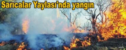 Sarcalar Yaylas'nda yangn