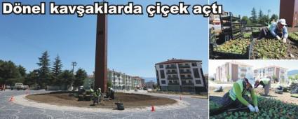 Dnel kavaklarda iek at