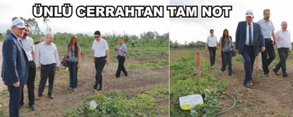 BEBEK MEYVE ORMANI'NA NL CERRAHTAN TAM NOT