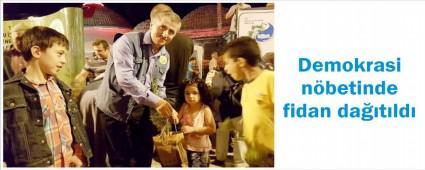 Demokrasi nbetinde fidan datld