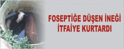 Foseptie den inei itfaiye kurtard