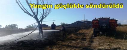 Anz yangnn kyller sndrd