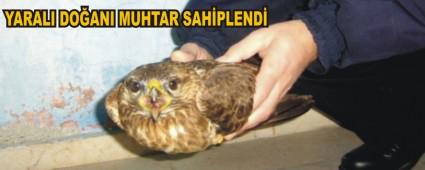 Yaral Doan Muhtar Sahiplendi